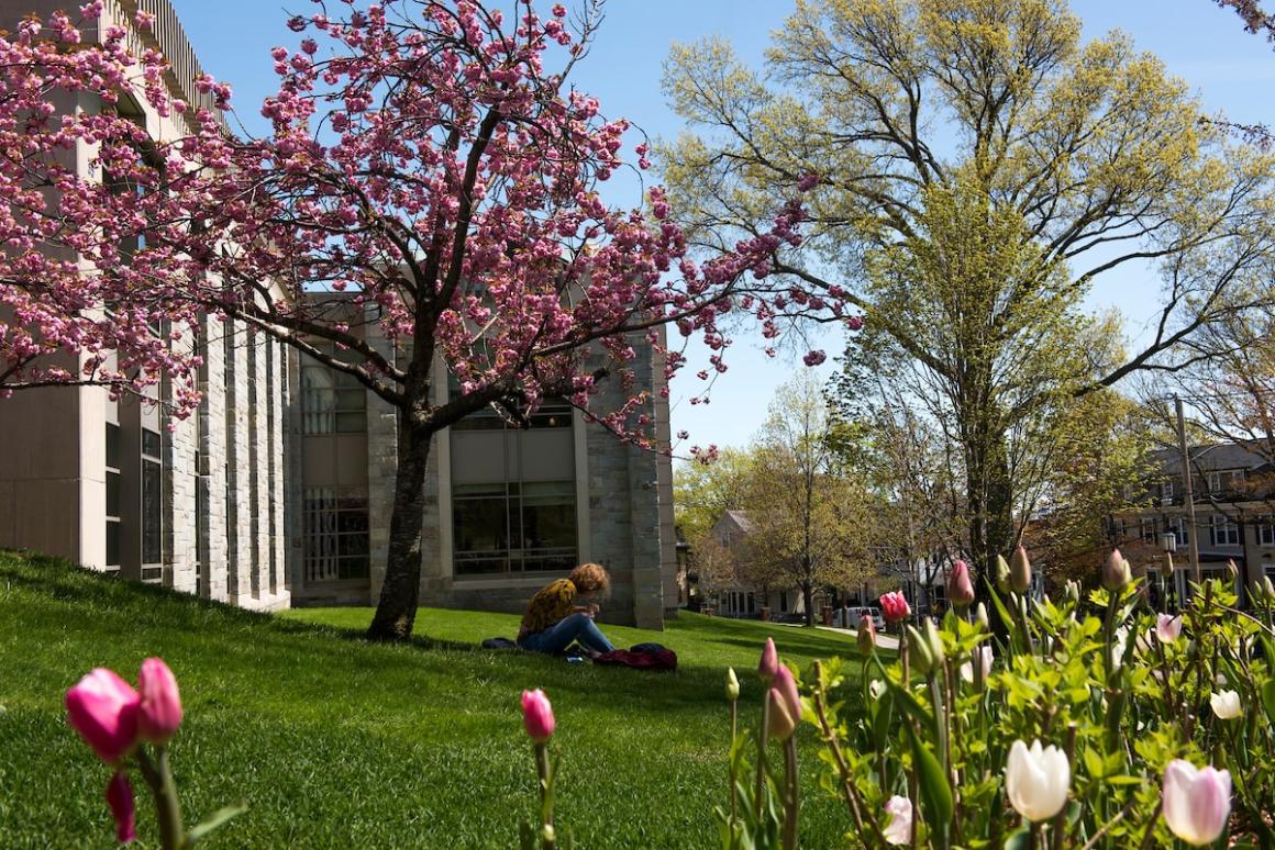 A student sits under a flowering tree near Tisch Library on May 6, 2019. (Alonso Nichols/Tufts University)