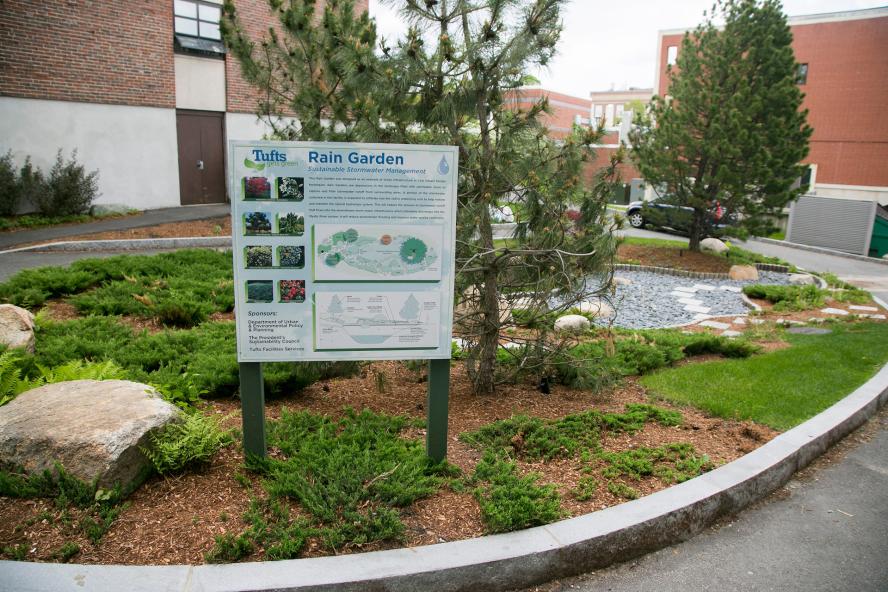 Tufts University's Rain Garden