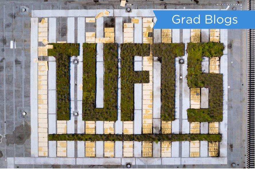 06/11/2023 – Medford/Somerville, Mass. – An aerial view of the plants that spell out Tufts on the roof of Tisch Library on the Medford/Somerville Campus of Tufts University on June 11, 2023. (Boston Aerials for Tufts University)