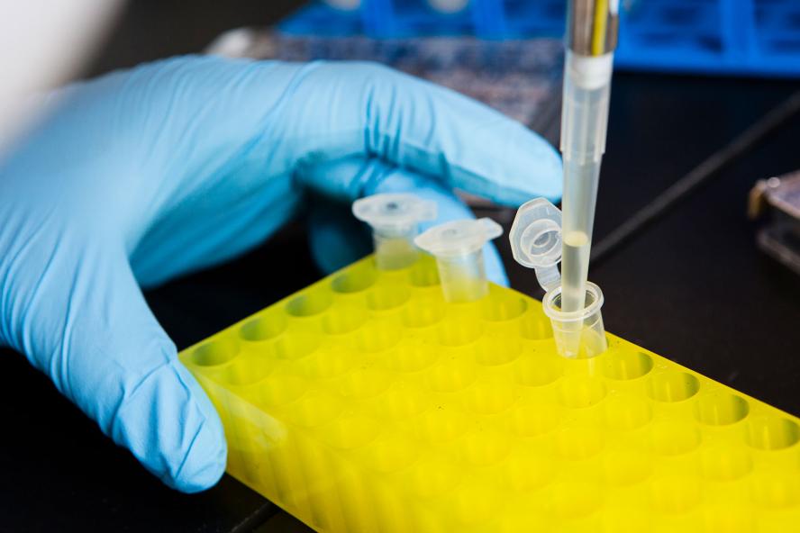 A scientist places chemicals in a tube rack