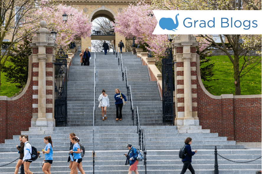 Students walk by Memorial Steps, which is lined with blooming cherry blossom trees.