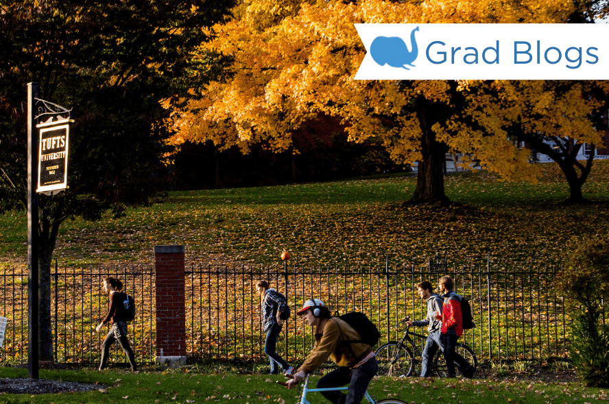 Image of students walking outside the gates of Tufts campus. Fall foliage in the background..