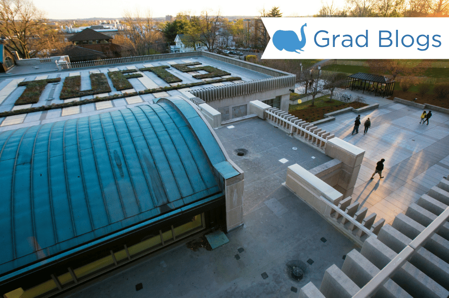 Image of Tufts library's roof