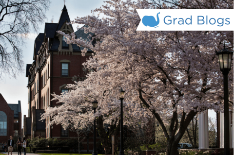 An image of a brick Tufts building with many windows. In the forward side of the frame is a blossoming tree. In the top right corner, there is the text "Grad Blogs" with an elephant logo next to it. 