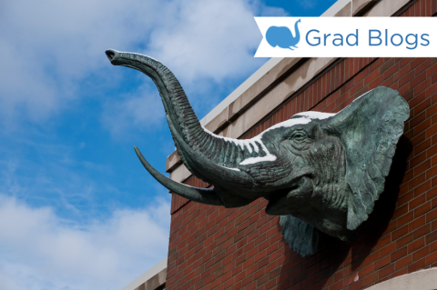 Image of elephant head statue hanging on the entrance of Dowling Hall