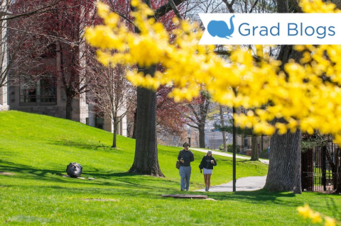 Image of two students walking on a pathway on Tufts campus. There is a yellow tree branch in the front of the image.