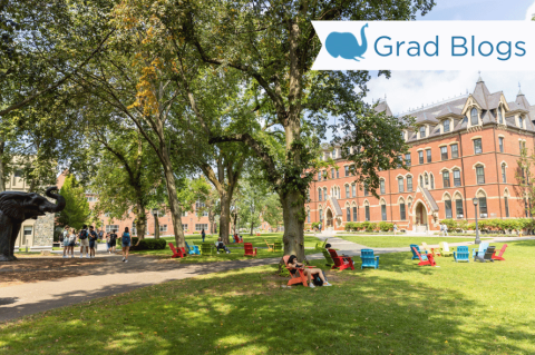 Image of Tufts academic quad, featuring the Jumbo elephant statue and students sitting in adirondack chairs