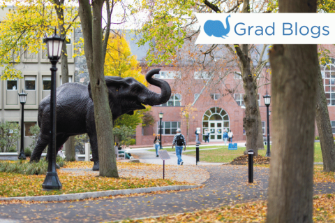 Image of a walkway on Tufts' Medford campus with Jumbo the Elephant statue and fall foliage in background
