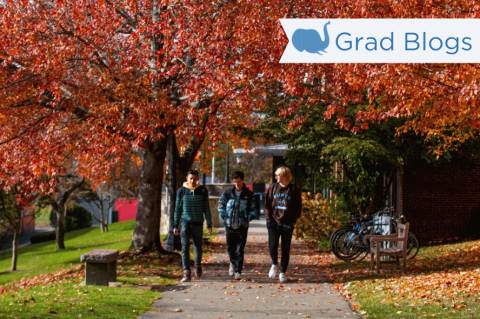 Image of three students walking on a pathway on Tufts' campus with fall foliage