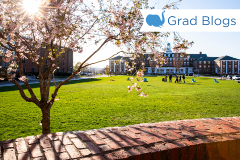 Students playing in the lawn on a sunny day